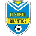 TJ Sokol Brantice