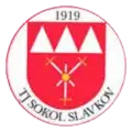 TJ Sokol Slavkov